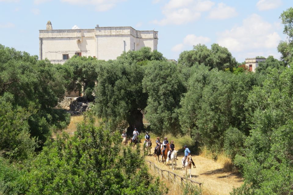 Apulia: Horseback Riding Trip in Parco Dune Costiere - Whats Included