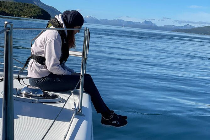 Arctic Fjordcruise & Safari in Tromso With Luxury Catamaran - Cancellation and Refund Policy