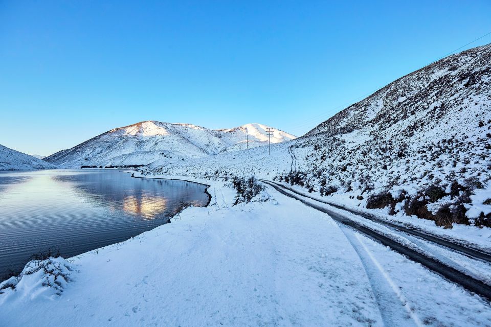 Arthurs Pass: TranzAlpine Train and Castle Hill Day Tour - Experience Highlights