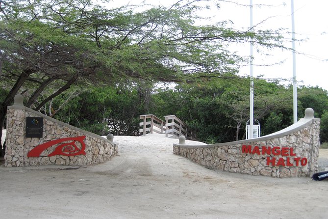 Aruba Mangel Halto and Baby Beach Snorkeling Guided Tour - Highlights