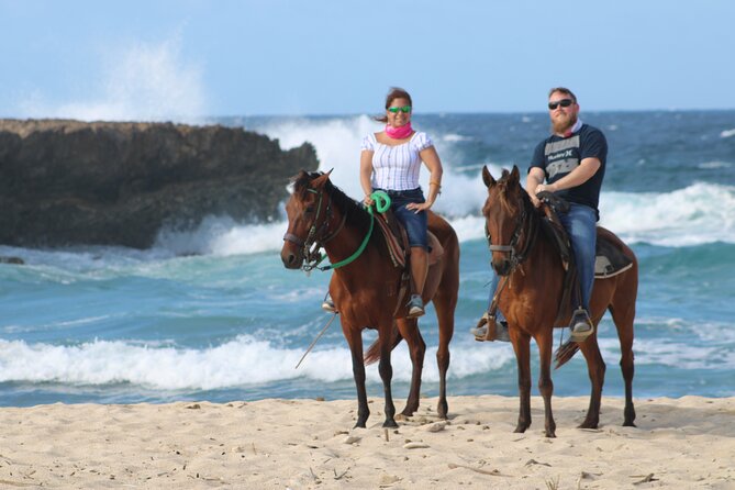 Aruba North Coastline: Small-Group Horseback Riding Tour - Additional Tour Information