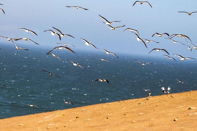 ATV Tour Adventure in Reserva Nacional De Paracas - Tour Stops and Attractions