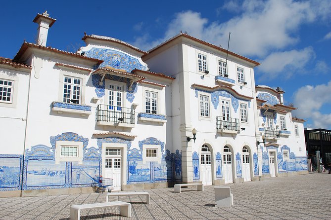 Aveiro and Costa Nova Half Day Tour From Porto With River Cruise - Boat Cruise on Canals