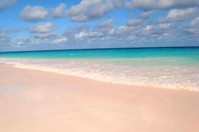Bahamas Famous Pink Sand and Pig Experience With Snorkeling - Best Time to Visit