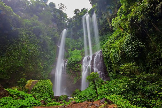 Bali Best Waterfalls Tour : Sekumpul and Banyumala - Excluded From the Tour