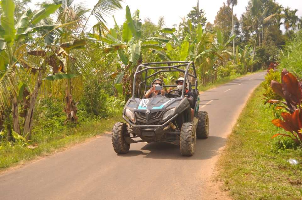 Bali Buggy Discovery Tours Tandem Adult - Highlights of the Tour