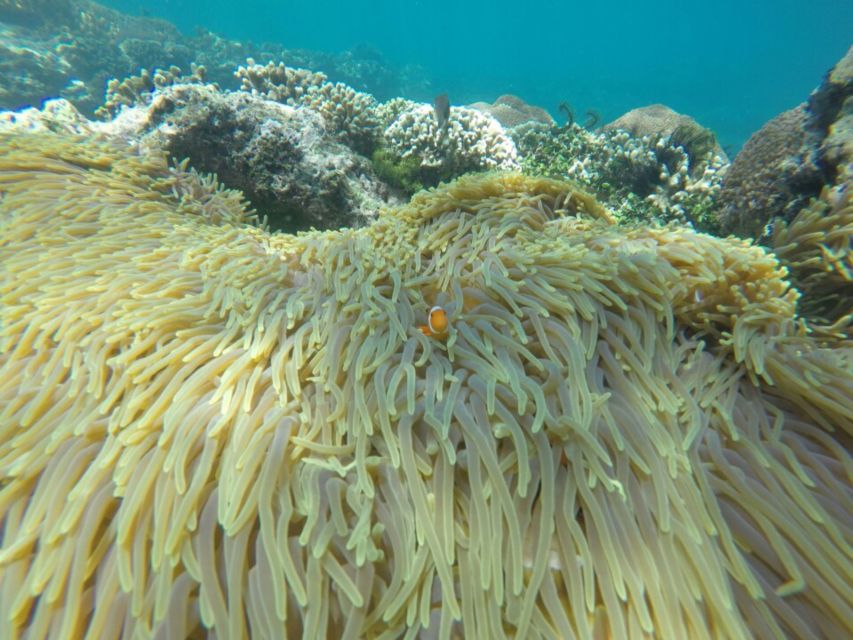 Bali: Labuan Amuk Snorkeling With Lunchbox - Who Can Participate