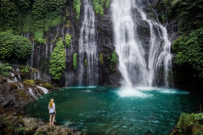 Bali Secret Waterfall Tour - Private and All-Inclusive - Tour Highlights