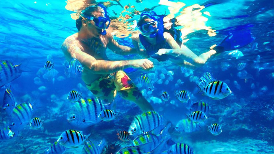 Bali: Snorkeling on 2 Spots With Lunch and Transport - Inclusions