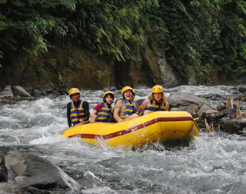 Bali: Telaga Waja River Rafting Small-Group Tour With Lunch - Unforgettable Scenic River Views