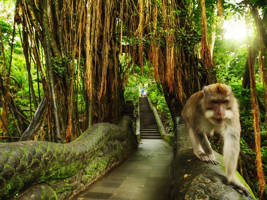 Bali: Ubud Adventure: Rice Terraces, Monkey Forest & Falls - Immerse in MAS Village