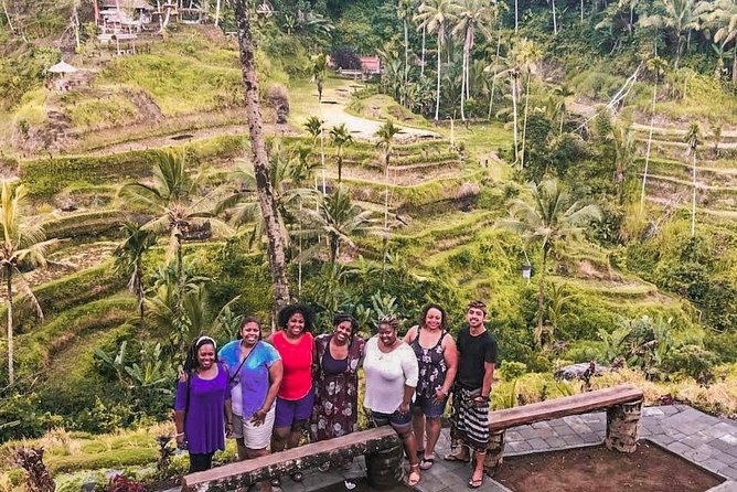 Bali: Ubud Highlights Tour With Private Guide and Transfers - Inclusions and Amenities
