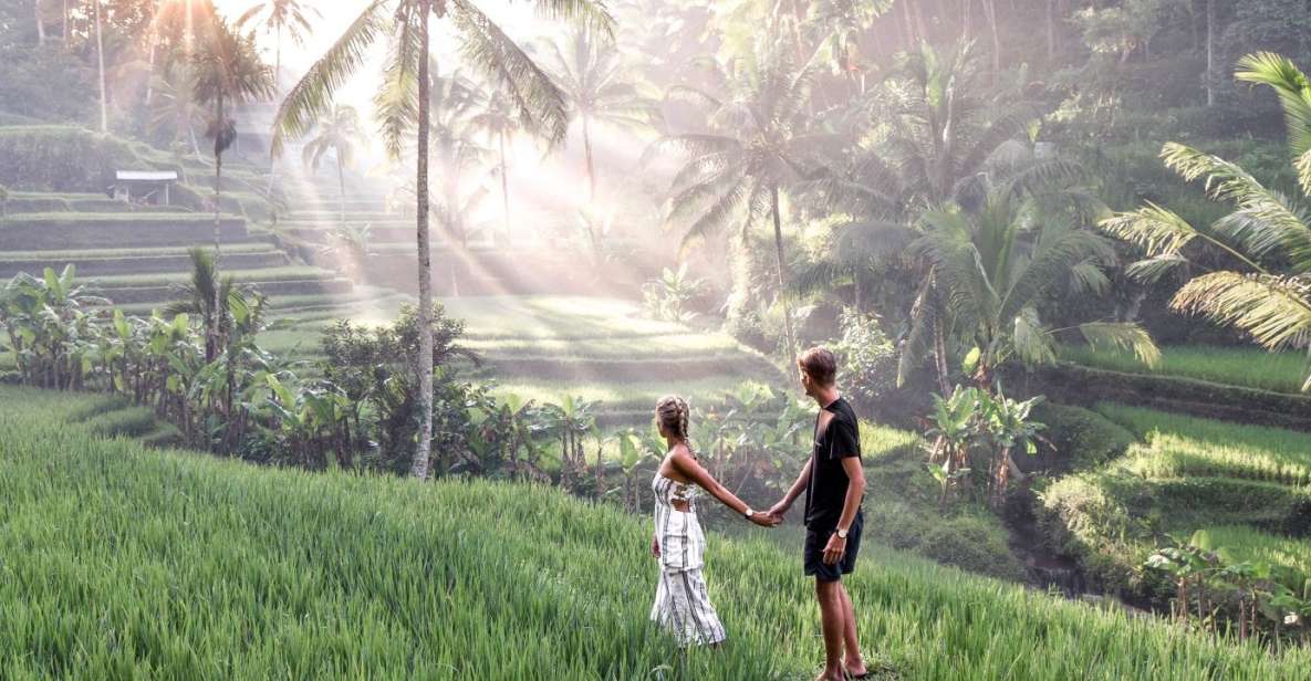 Bali: Ubud Waterfall, Rice Terraces & Monkey Forest Tour - Transportation and Pickup