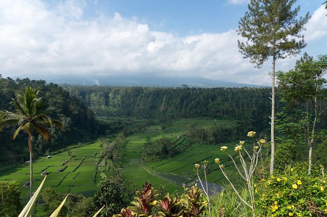 Bali Waterfalls and Temples Tour - Visiting Besakih Temple