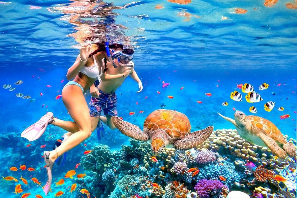 Bali:Snorkeling at Blue Lagoon With Lunch & Transfer - Snorkeling Experience