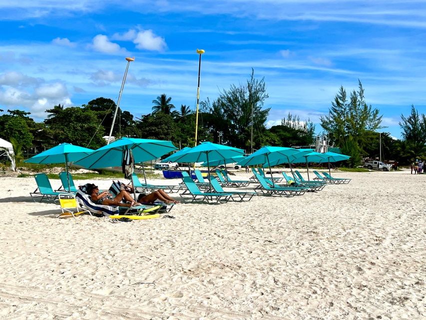 Barbados: Beach Day and Turtle Swim Experience - Snorkeling at the Stunning Shipwreck