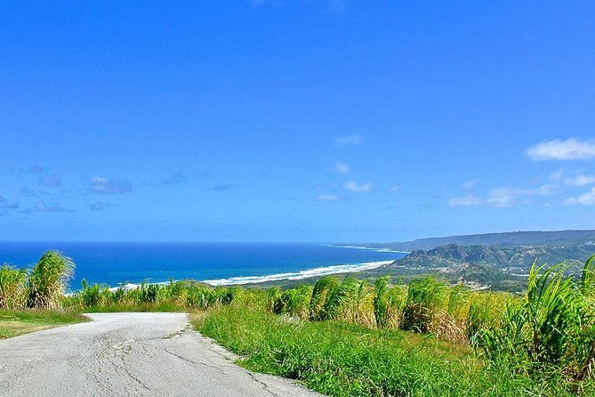 Barbados Full-day Coast to Coast Tour - Pickup and Drop-off Details