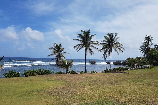 Barbados Full-day Private Tour - Tour Itinerary