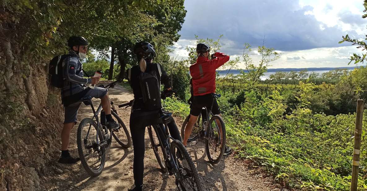 Bardolino: E-Bike Tour and Wine Tasting on the Hills - Expert Guidance and Safety Precautions