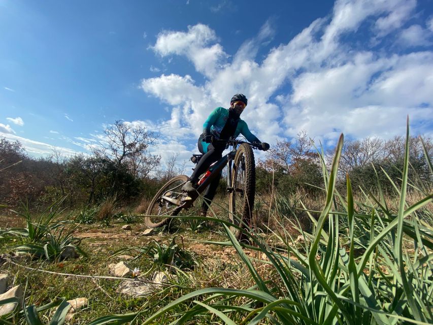 Bari: Ebike Excursion to the Mercadante Forest - Cycling Through Breathtaking Landscapes