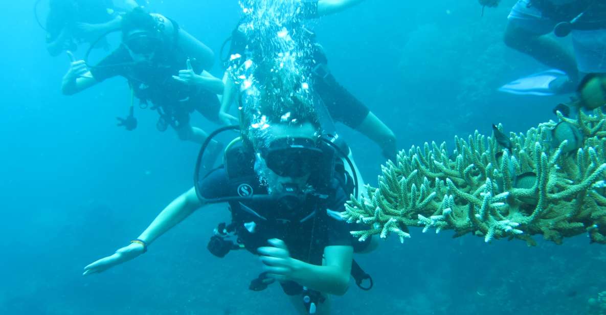 Basic Fun Dive At Menjangan Island - Diving Spots and Locations