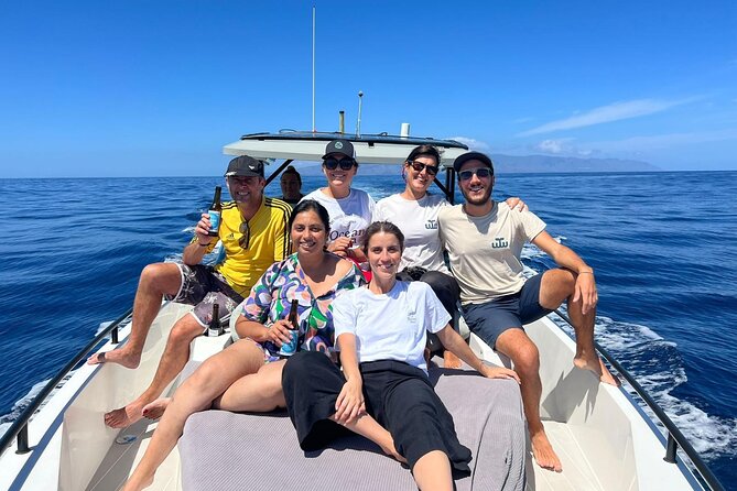Be Whale Wise - Silent Whale & Dolphin Watching in a Small Group - Accessibility and Transportation