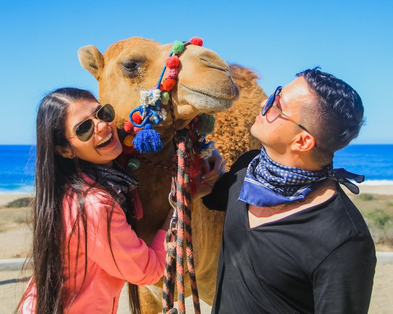 Beach Camel Ride & Encounter in Cabo by Cactus Tours Park - Pricing and Booking