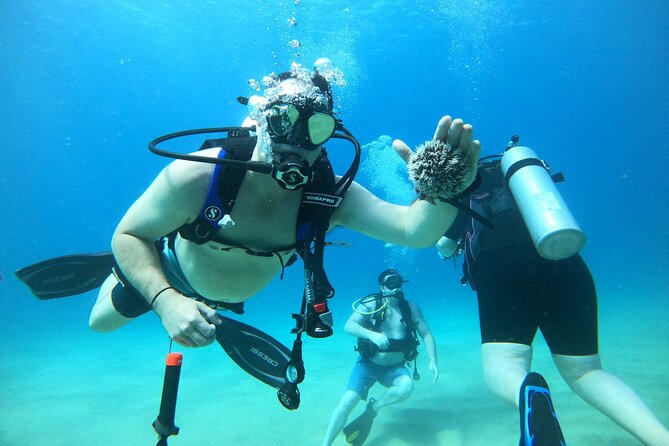 Beginner Scuba Diving Guided Tour - No Experience Required - Unique Experiences