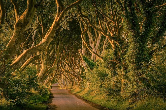 Belfast - Giants Causeway , Dunluce Castle and Dark Hedges - Meeting Point and Departure Time
