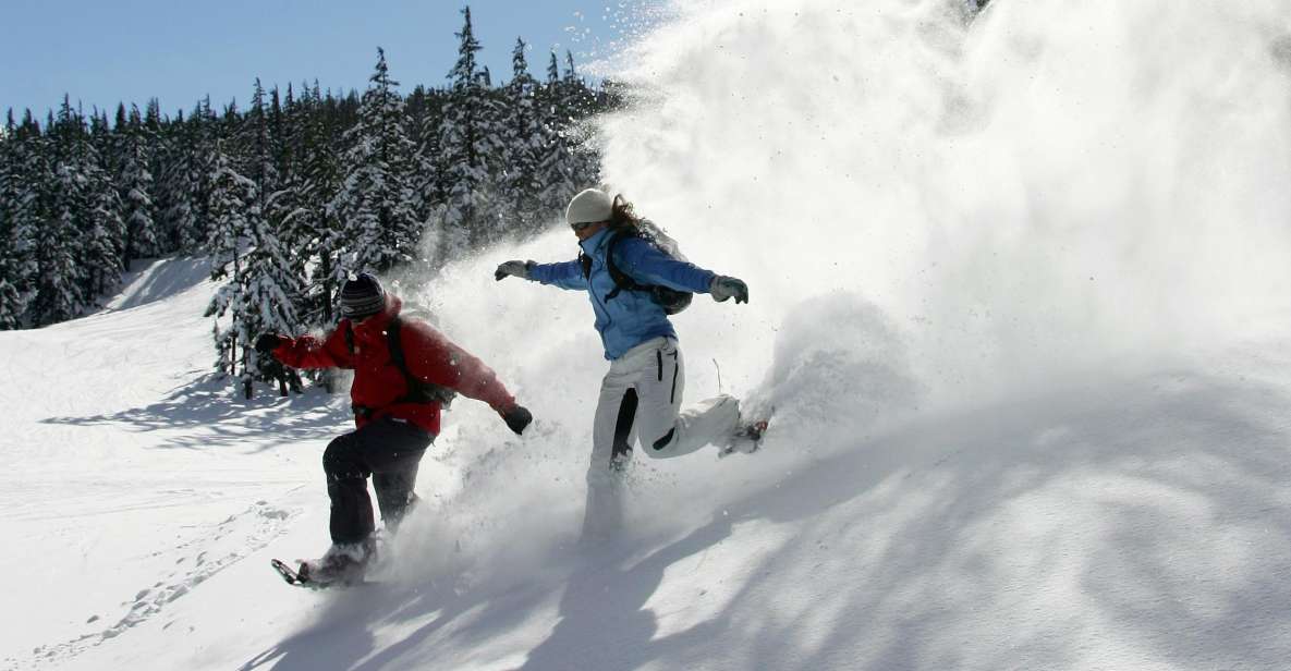 Bend: Half-Day Snowshoe Tour in the Cascade Mountain Range - Included in the Tour