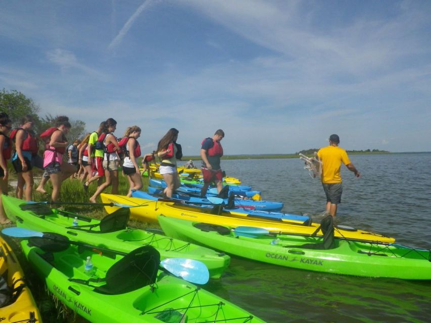 Berlin: Assateague Island Wildlife Discovery Kayak Tour - Opportunity to See Wildlife