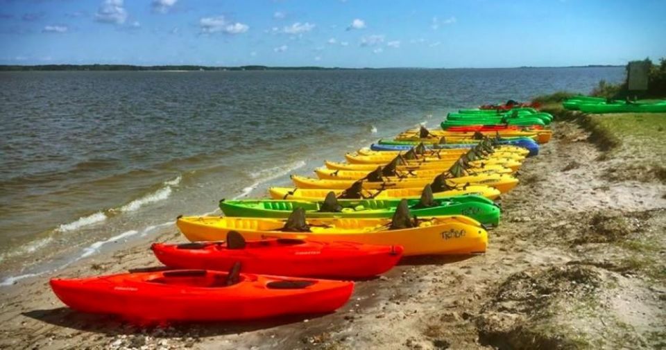 Berlin, MD: Full-, Half, or Quarter-Day Kayak Rental - Pristine Salt Marshes