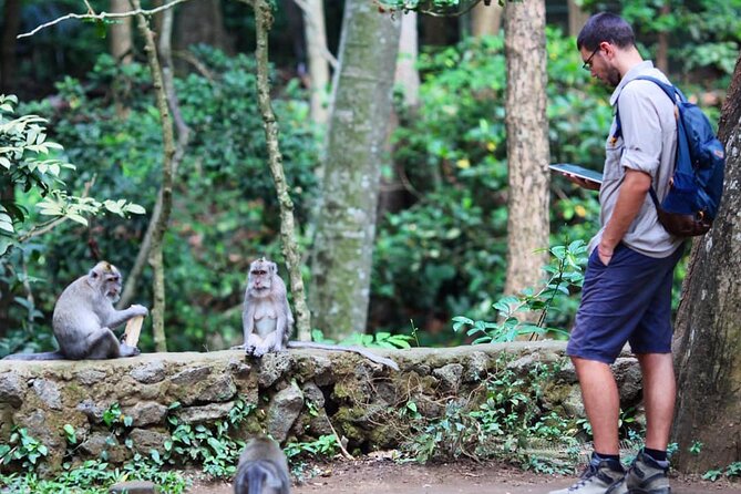 Best of Ubud With Monkey Forest, Rice Terrace, Temple, Waterfall - Admiring the Balinese Tiered Fountains