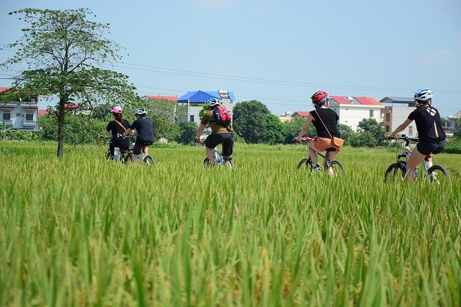 Bicycle Tours Hanoi: Full Day Bicycle Tours City & Countryside - Tour Details