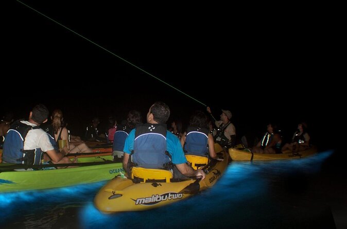 Bio Bay Night Kayaking With Transport From San Juan Area - Wildlife and Ecology