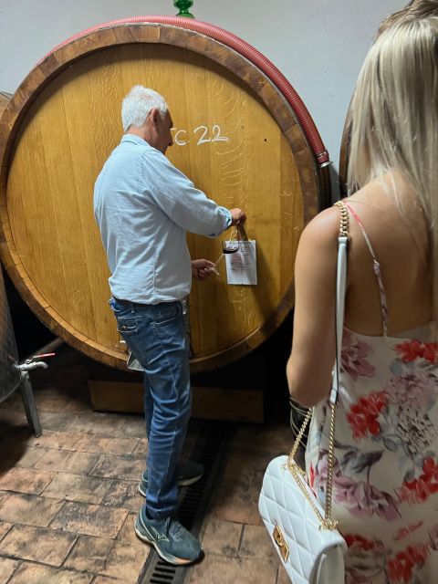 Biodynamic Chianti Wine Experience, a Day in Chianti - Boutique Winery Visits