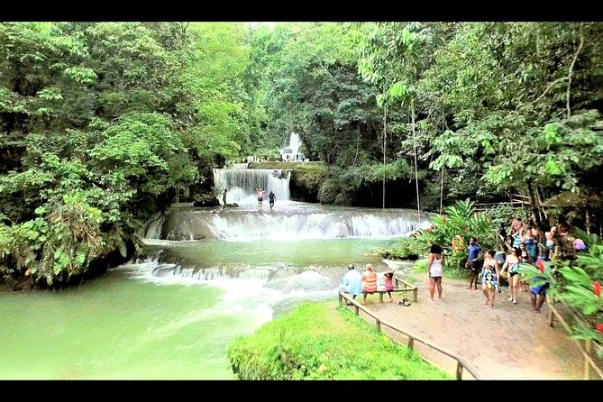 Black River Safari & YS Falls Guided Tour With Lunch & Admission From Negril - Traveler Experiences