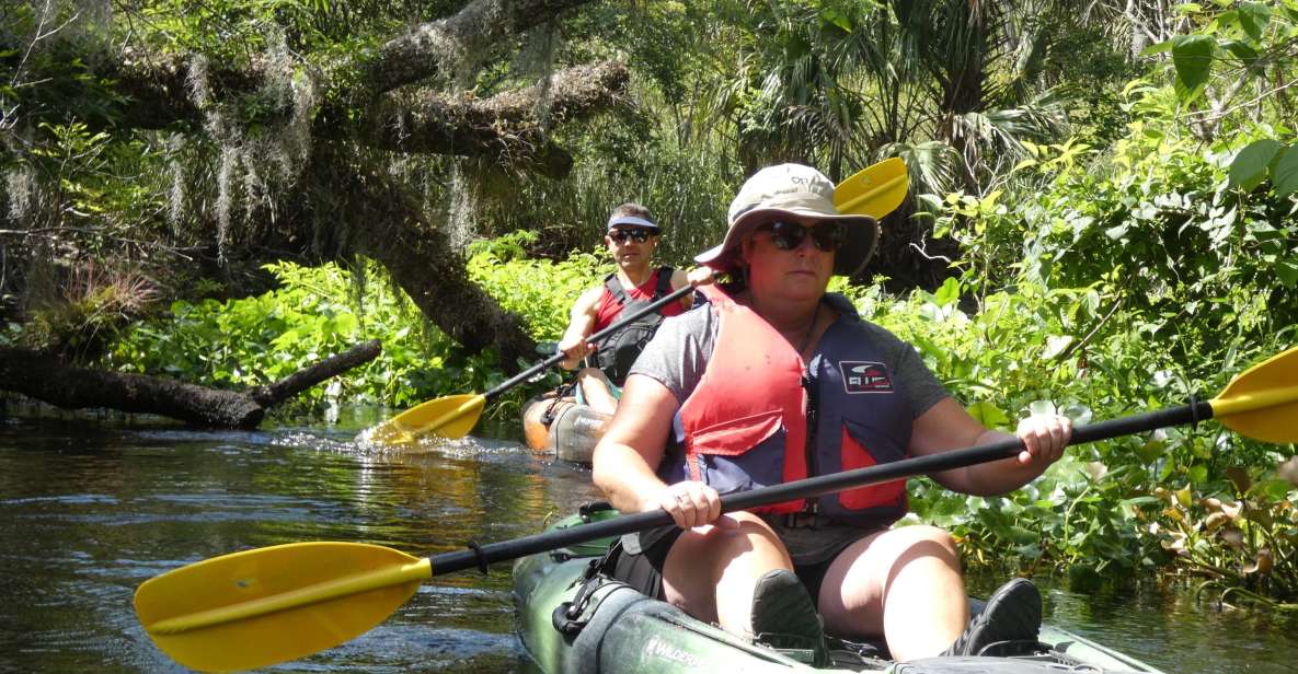 Blackwater Creek: Exclusive Nature Escape Kayak Adventure - Scenic Backcountry Kayak Experience