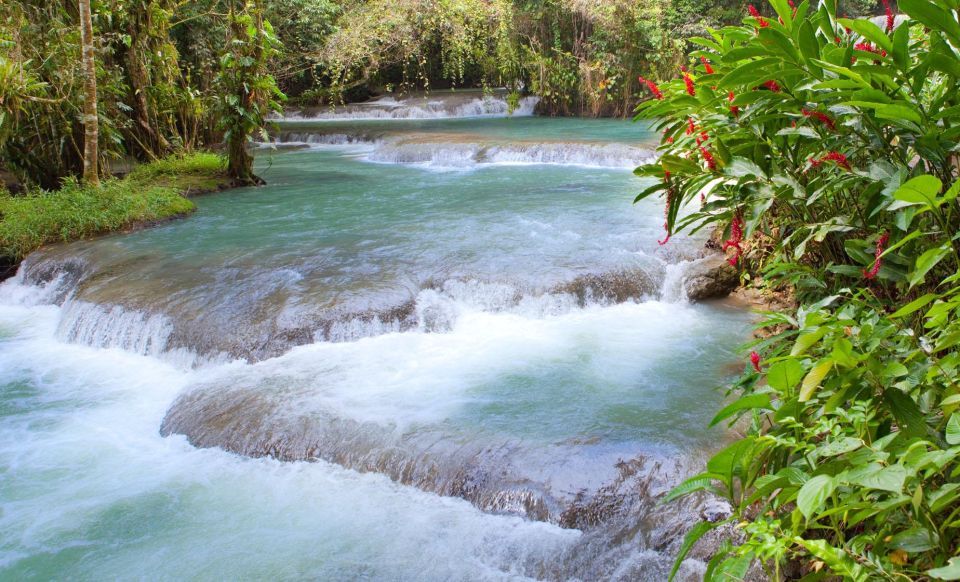 Blue Hole, Dunns River Falls & Luminous Lagoon Tour - Discovering Cool Blue Hole