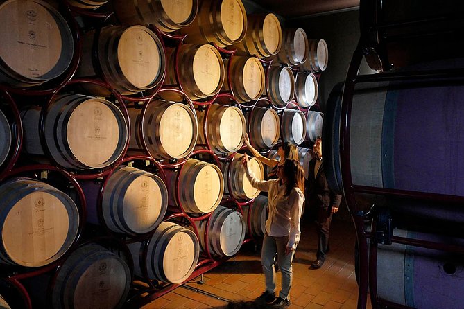 Bolgheri: Classic Wine Tasting With Winery Tour - Discovering the Winemaking Process