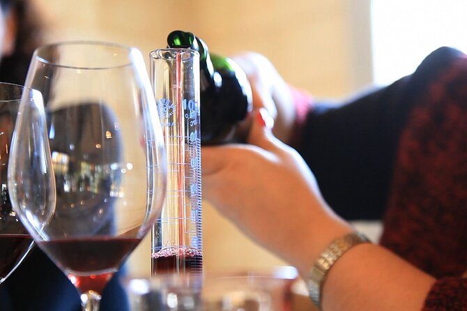Bordeaux Small-Group Wine Tasting Class Morning With Appetizer Plate - Blending Your Own Wine