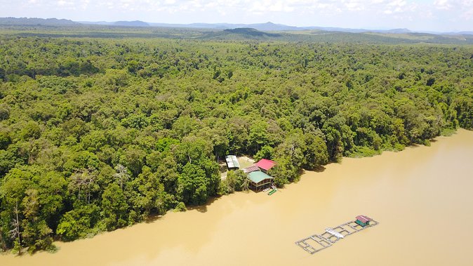 Borneo Wildlife Tour 3 Days 2 Nights At Tanjung Bulat Jungle Camp Kinabatangan - Delectable Meals and Refreshments