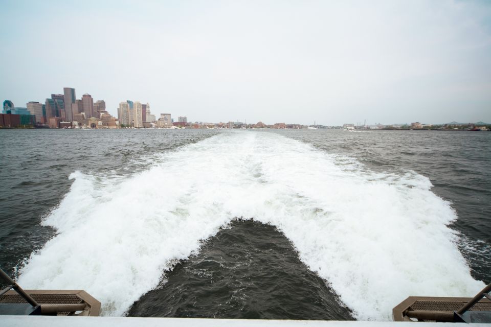 Boston: Whale Watching Catamaran Cruise - Onboard Amenities