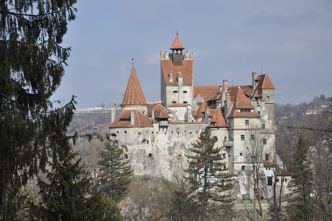 Bran Castle and Rasnov Fortress Tour From Brasov With Entrance Fees Included - Optional Peles Castle Visit - Gothic Legends of Transylvania