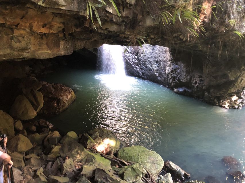 Brisbane: Springbrook and Mt Tamborine Rainforest Day Tour - Customer Reviews