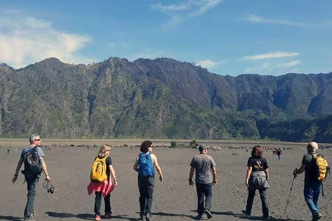 Bromo Sunrise Tour via Tumpang - Start Malang // 1 Day Tour - Pickup and Timing Details