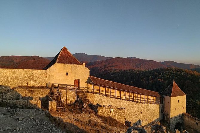 Brown Bear Sanctuary, Rasnov Fortress and Bran Castle Tour From Brasov - Tour Details