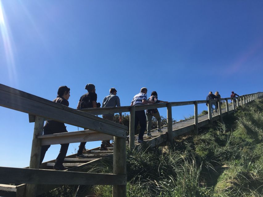 Bruny Island Day Trip From Hobart - Inclusions and Experiences