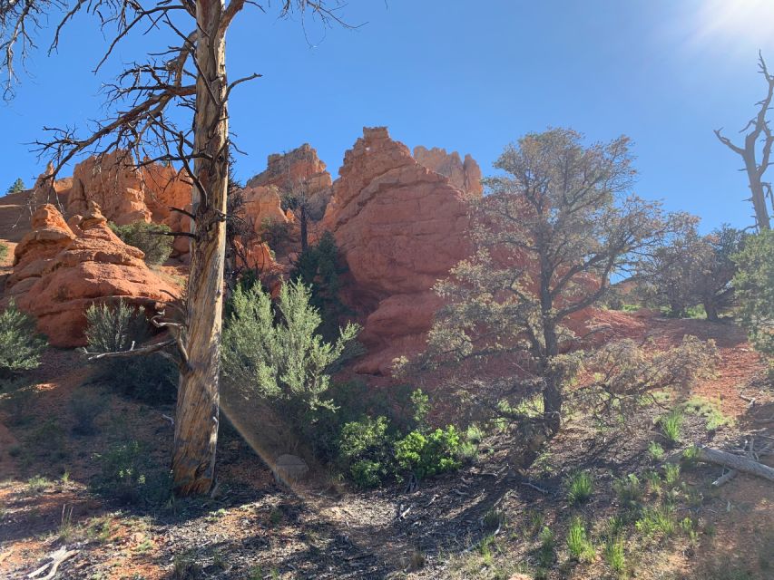 Bryce Canyon City: Red Canyon Horse Riding Day Trip W/ Lunch - Unique Rock Formations and Arches