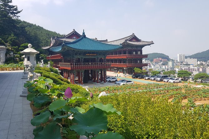 Busan Shore Excursion Tour With Gamcheon Culture Village - Hwangnyeongsan Mountain Observatory